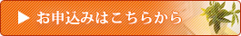 お申込みボタン